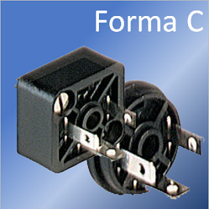 Forma C basetta